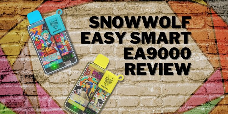 Snowwolf Easy Smart EA9000 Review: Functional And Surprising Disposable Vape