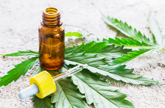 What is Cannabis Oil?